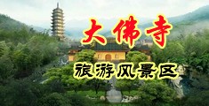 啊啊啊～小母狗要喷水了中国浙江-新昌大佛寺旅游风景区